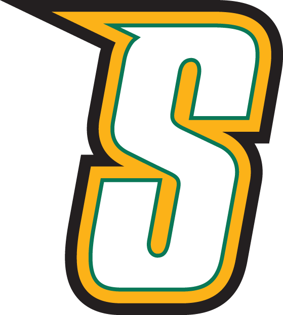 Siena Saints 2001-Pres Alternate Logo v5 iron on transfers for T-shirts